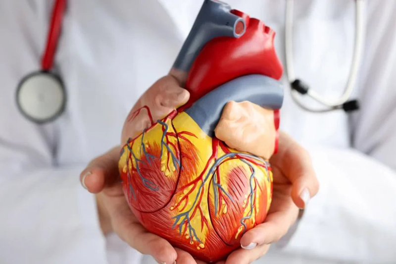 Bharat Vikas Parishad Hospital and Reserch Center