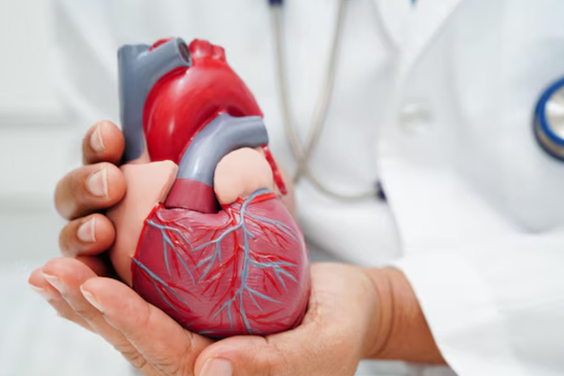 Bharat Vikas Parishad Hospital and Reserch Center