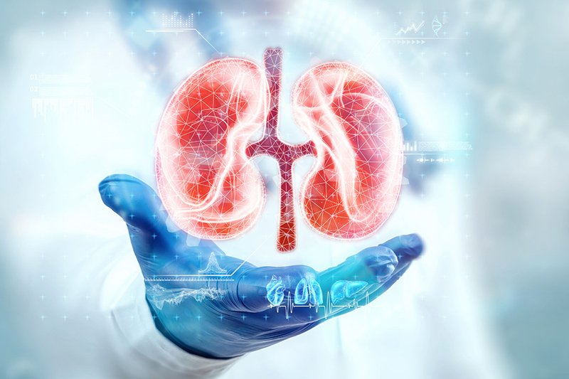 Bharat Vikas Parishad Hospital and Reserch Center